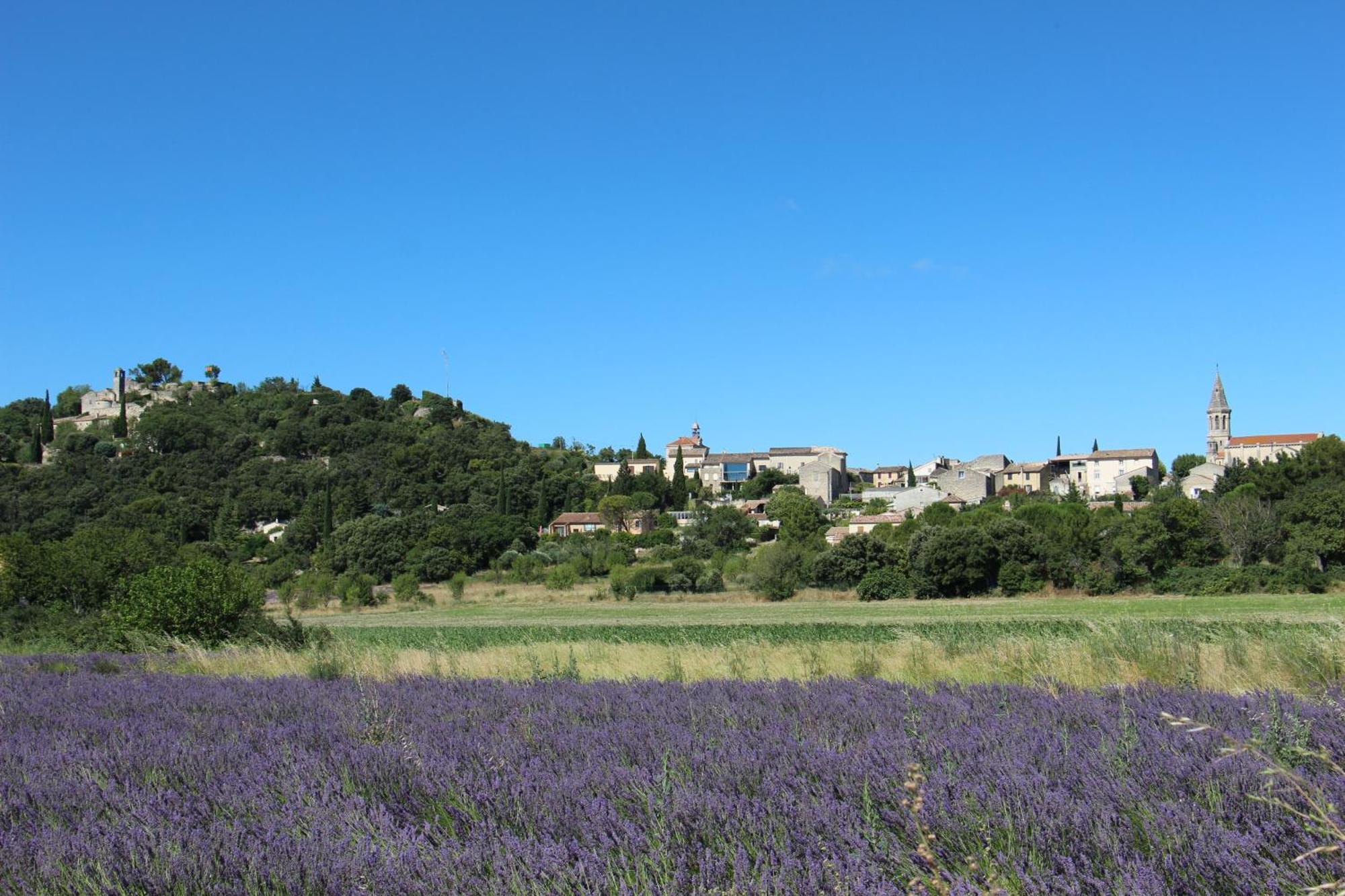 Le Pigeonnier, Gite Des Lucioles En Provence Montségur-sur-Lauzon Exterior foto